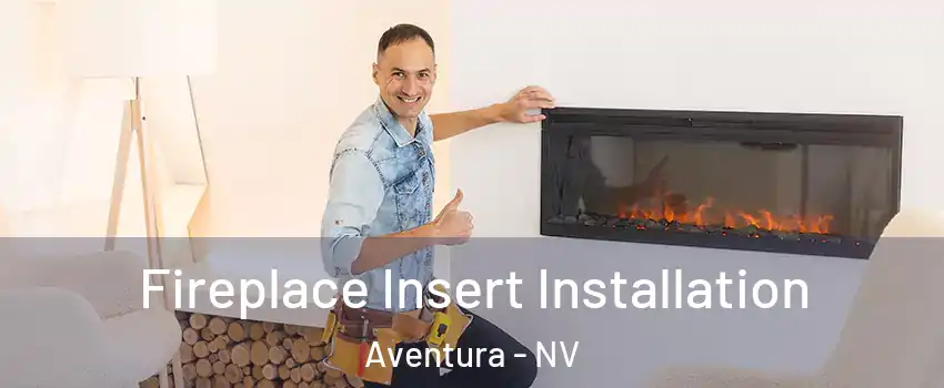 Fireplace Insert Installation Aventura - NV