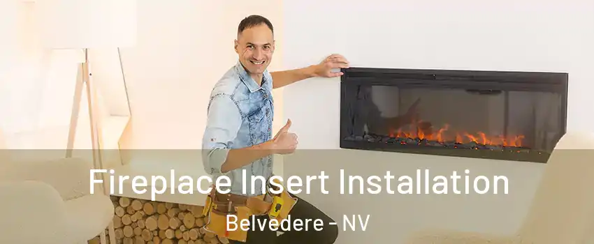 Fireplace Insert Installation Belvedere - NV