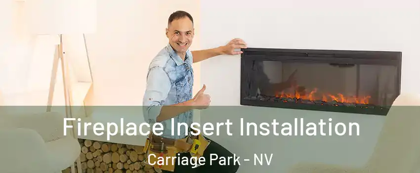 Fireplace Insert Installation Carriage Park - NV