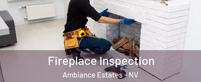 Fireplace Inspection Ambiance Estates - NV