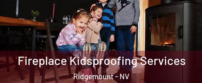 Fireplace Kidsproofing Services Ridgemount - NV