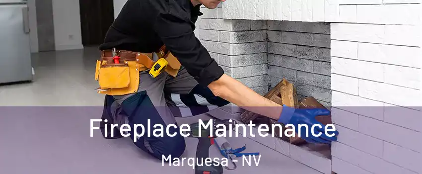 Fireplace Maintenance Marquesa - NV