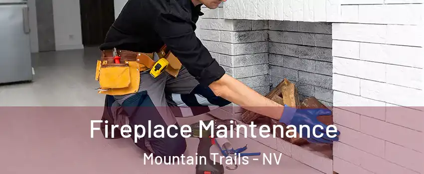 Fireplace Maintenance Mountain Trails - NV