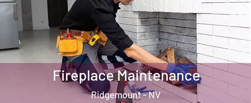 Fireplace Maintenance Ridgemount - NV