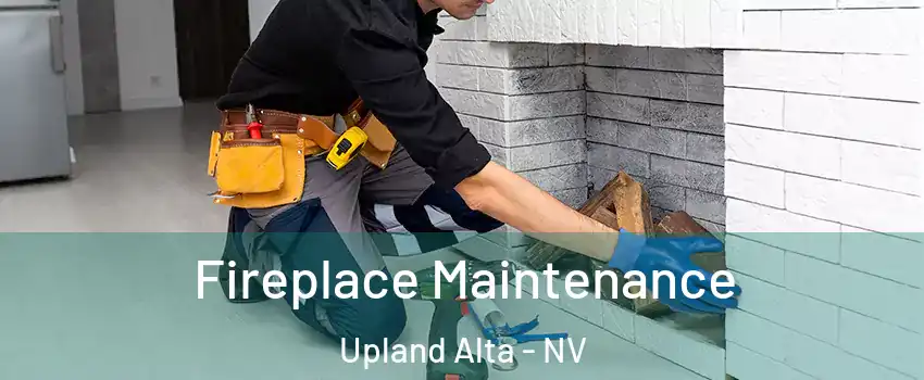 Fireplace Maintenance Upland Alta - NV