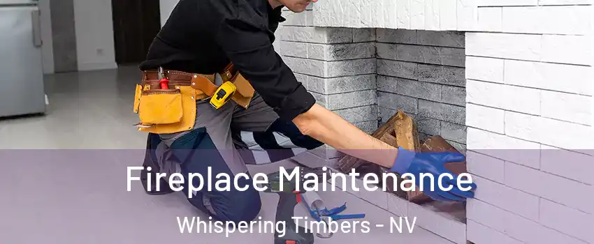 Fireplace Maintenance Whispering Timbers - NV