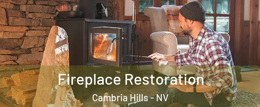 Fireplace Restoration Cambria Hills - NV