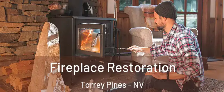 Fireplace Restoration Torrey Pines - NV