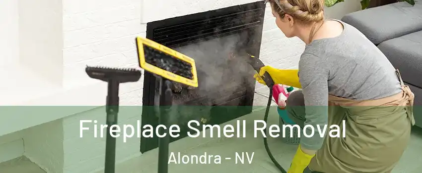 Fireplace Smell Removal Alondra - NV