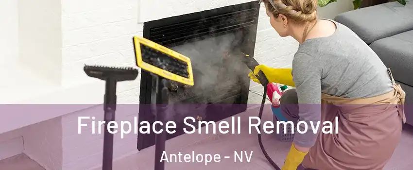 Fireplace Smell Removal Antelope - NV