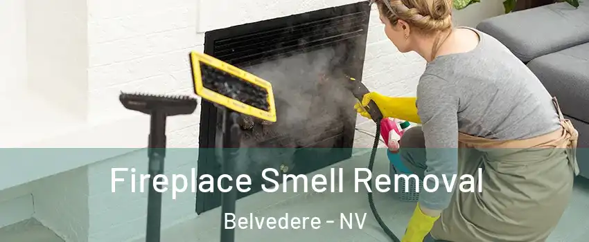 Fireplace Smell Removal Belvedere - NV