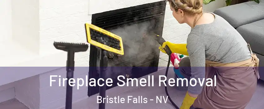 Fireplace Smell Removal Bristle Falls - NV