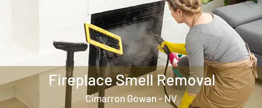 Fireplace Smell Removal Cimarron Gowan - NV