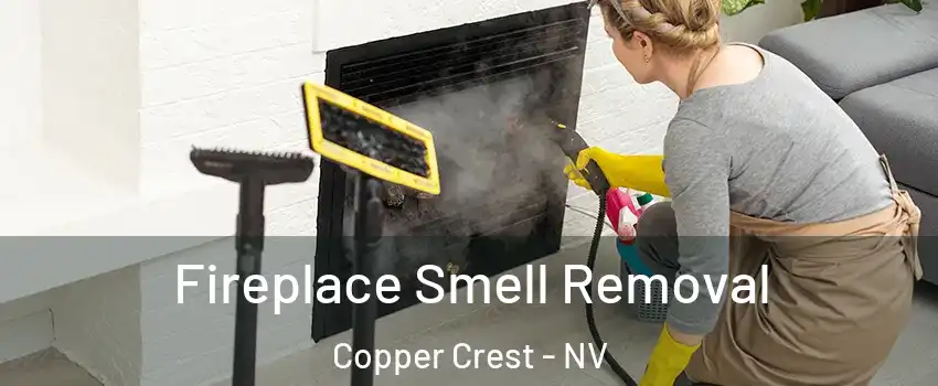 Fireplace Smell Removal Copper Crest - NV