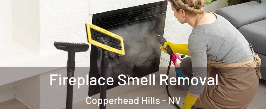 Fireplace Smell Removal Copperhead Hills - NV