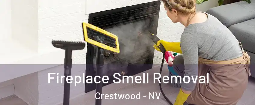 Fireplace Smell Removal Crestwood - NV