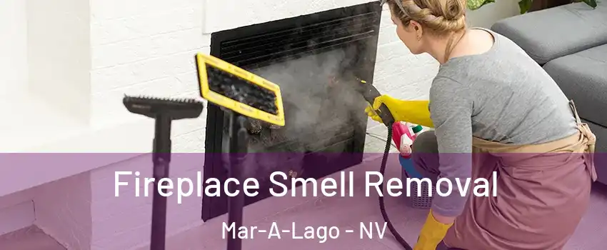 Fireplace Smell Removal Mar-A-Lago - NV