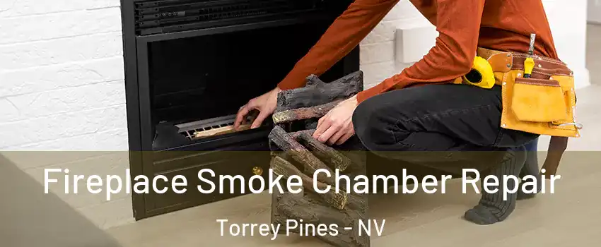 Fireplace Smoke Chamber Repair Torrey Pines - NV