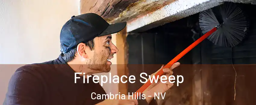 Fireplace Sweep Cambria Hills - NV