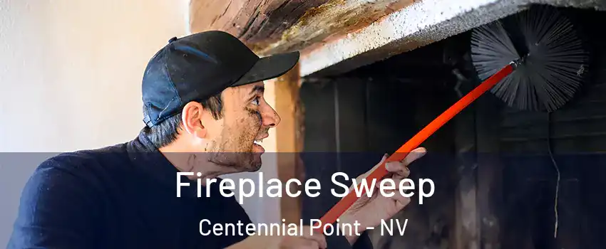 Fireplace Sweep Centennial Point - NV