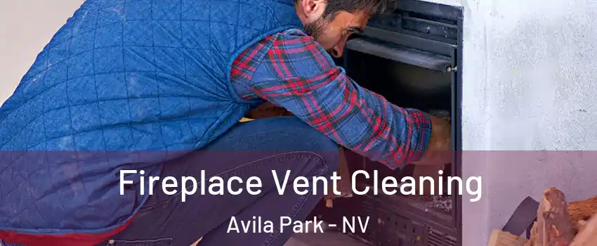 Fireplace Vent Cleaning Avila Park - NV