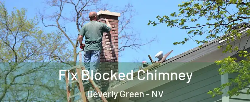 Fix Blocked Chimney Beverly Green - NV