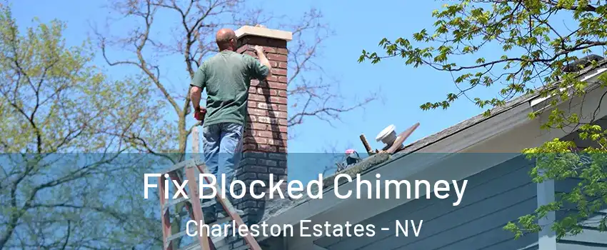 Fix Blocked Chimney Charleston Estates - NV