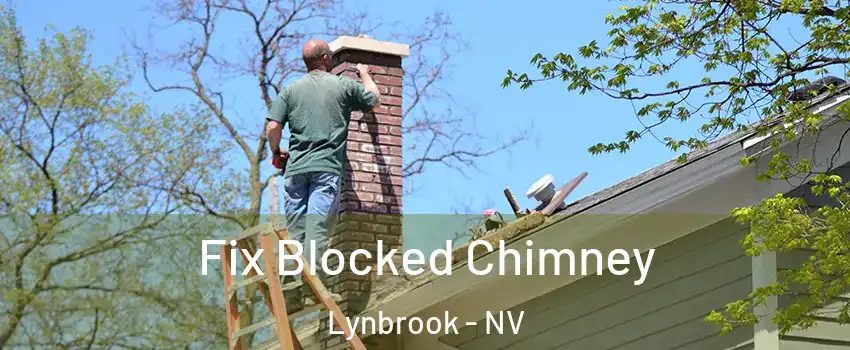 Fix Blocked Chimney Lynbrook - NV