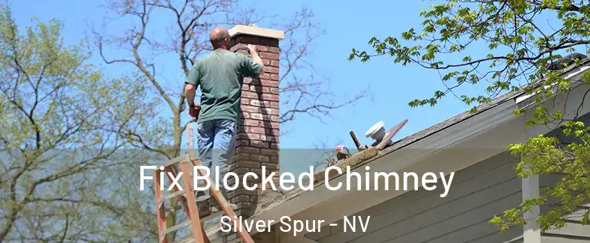 Fix Blocked Chimney Silver Spur - NV