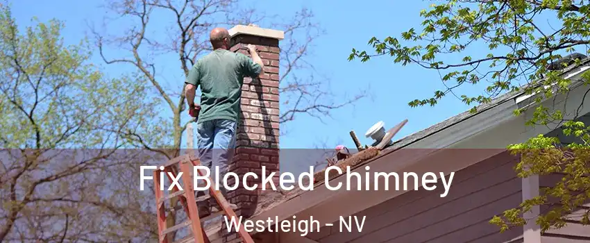 Fix Blocked Chimney Westleigh - NV