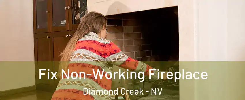 Fix Non-Working Fireplace Diamond Creek - NV