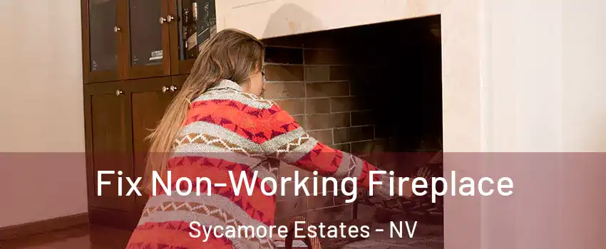 Fix Non-Working Fireplace Sycamore Estates - NV