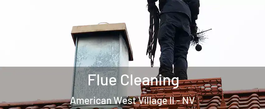 Flue Cleaning American West Village II - NV