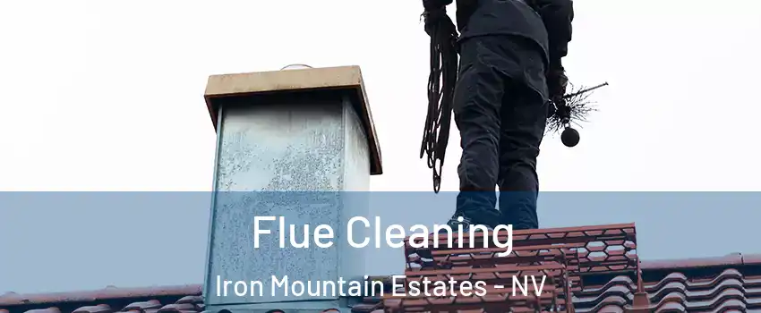 Flue Cleaning Iron Mountain Estates - NV