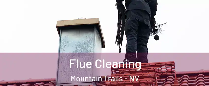 Flue Cleaning Mountain Trails - NV