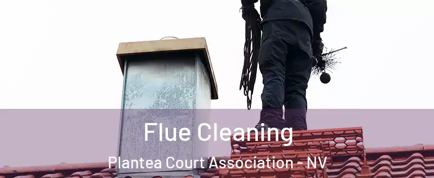 Flue Cleaning Plantea Court Association - NV