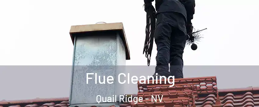 Flue Cleaning Quail Ridge - NV