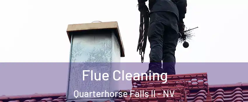 Flue Cleaning Quarterhorse Falls II - NV