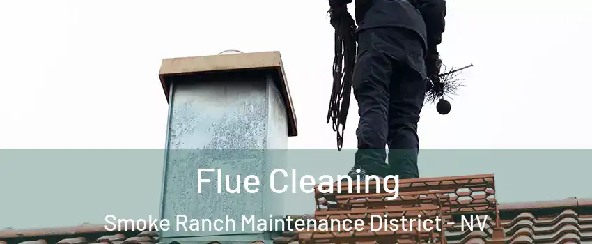 Flue Cleaning Smoke Ranch Maintenance District - NV