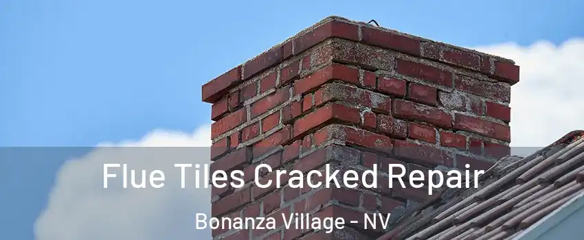 Flue Tiles Cracked Repair Bonanza Village - NV