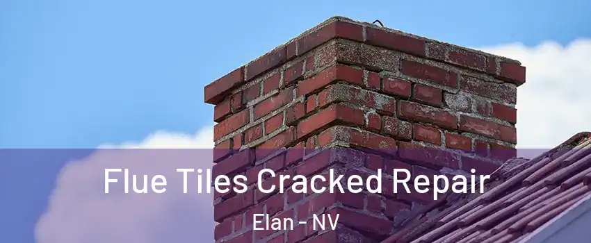 Flue Tiles Cracked Repair Elan - NV