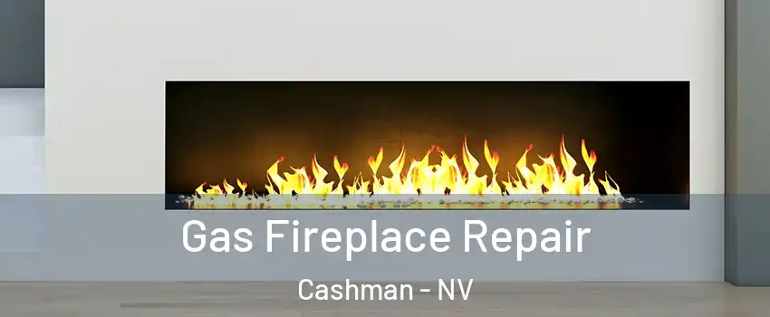 Gas Fireplace Repair Cashman - NV