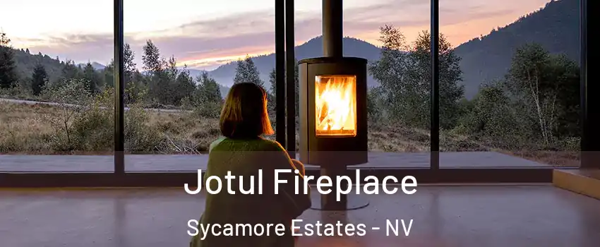 Jotul Fireplace Sycamore Estates - NV