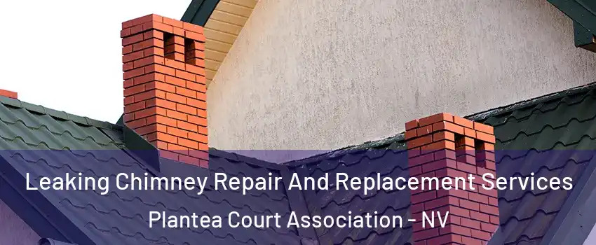 Leaking Chimney Repair And Replacement Services Plantea Court Association - NV