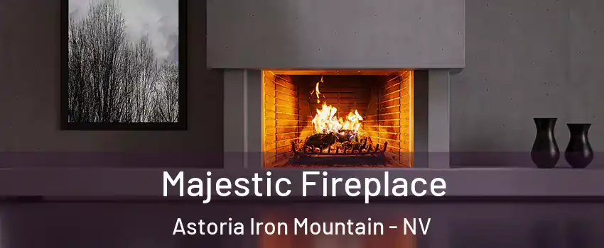 Majestic Fireplace Astoria Iron Mountain - NV