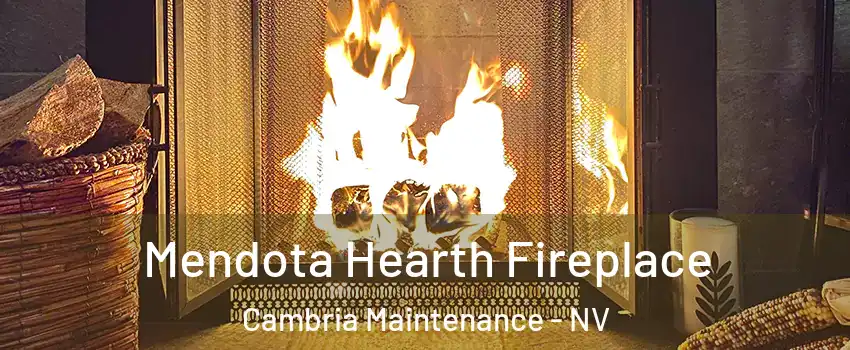 Mendota Hearth Fireplace Cambria Maintenance - NV