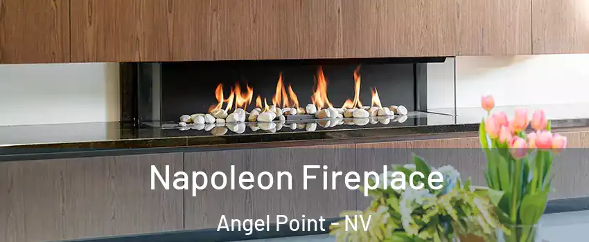 Napoleon Fireplace Angel Point - NV