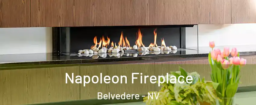 Napoleon Fireplace Belvedere - NV