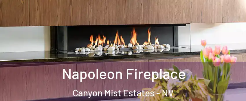 Napoleon Fireplace Canyon Mist Estates - NV