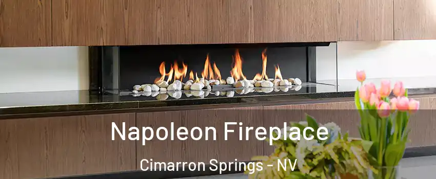 Napoleon Fireplace Cimarron Springs - NV